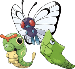 evolucion-de-caterpie-todos-los-trucos-evoluciones